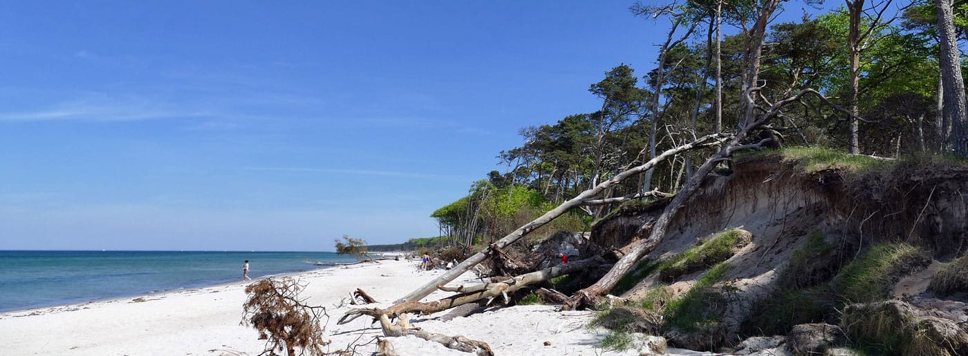 Ostsee Darss Ferienwohnungen